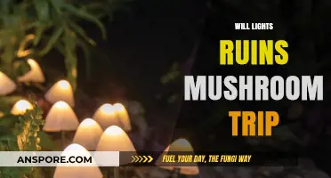 Lights and Mushrooms: A Trippy Conundrum
