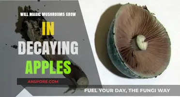 Can Magic Mushrooms Thrive in Decaying Apples? Exploring the Possibility