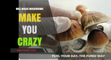 Magic Mushrooms and Mental Health: Separating Fact from Fiction