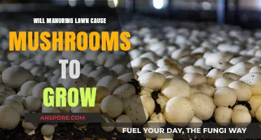 Manuring Your Lawn: Does It Lead to Mushroom Growth?