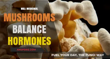 Medicinal Mushrooms: Natural Hormone Balancers?