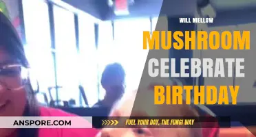 Mellow Mushroom Birthday: What's the Deal?