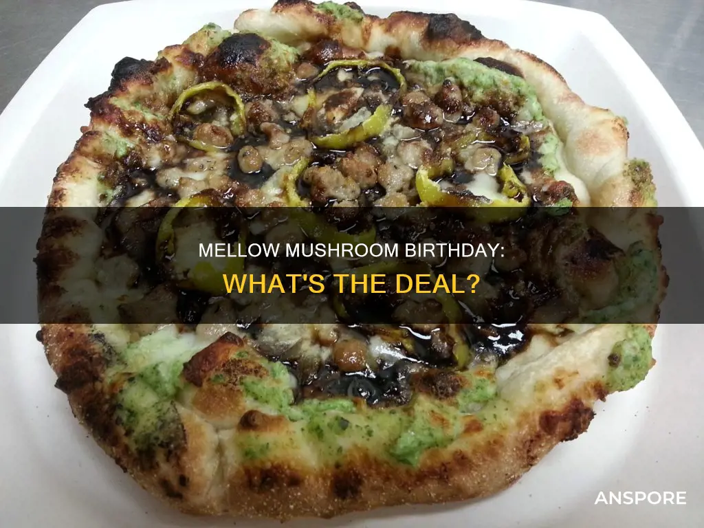 will mellow mushroom celebrate birthday