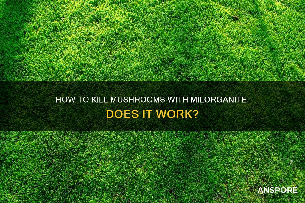 will milorganite kill mushrooms