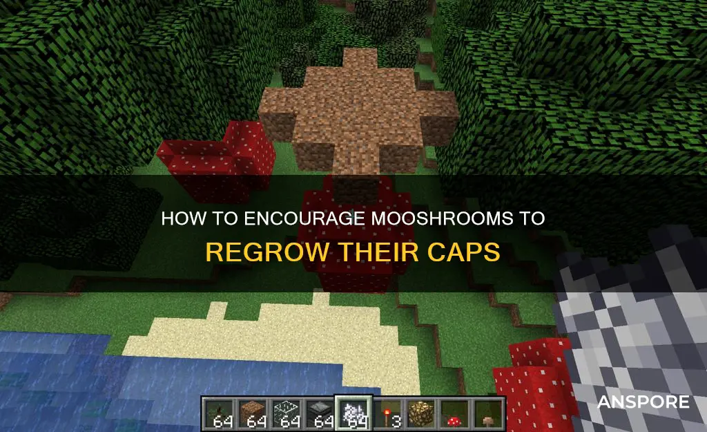 will mooshrooms regrow their mushrooms