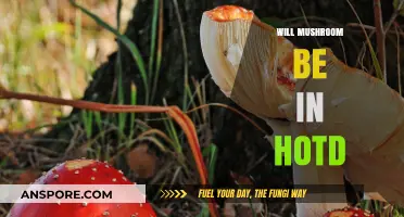 Mushroom's Future in HOTD: What to Expect