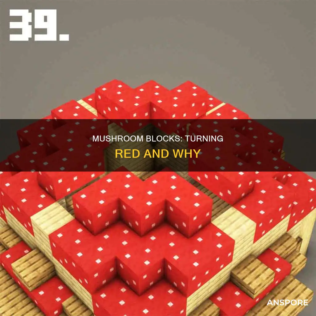 will mushroom blocks turn red