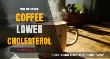 Mushroom Coffee: A Cholesterol-Lowering Brew?
