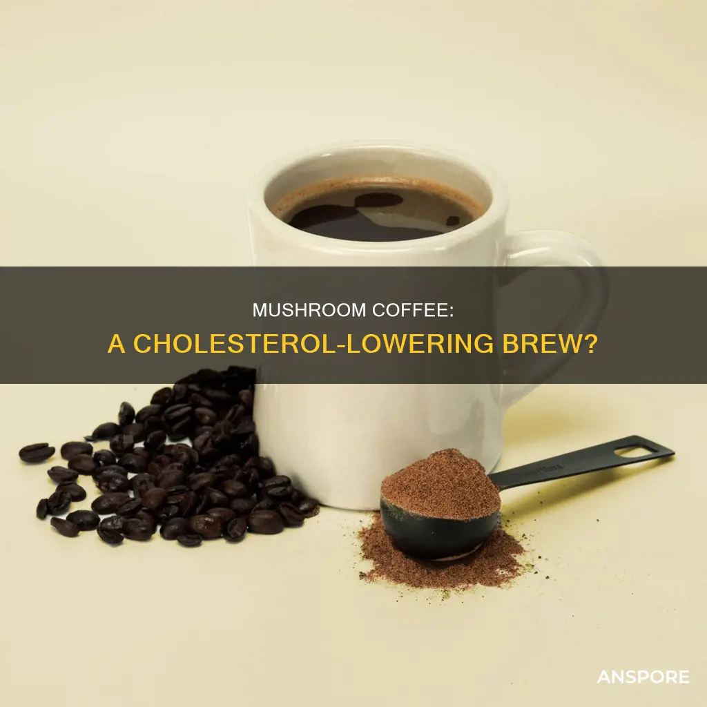 will mushroom coffee lower cholesterol