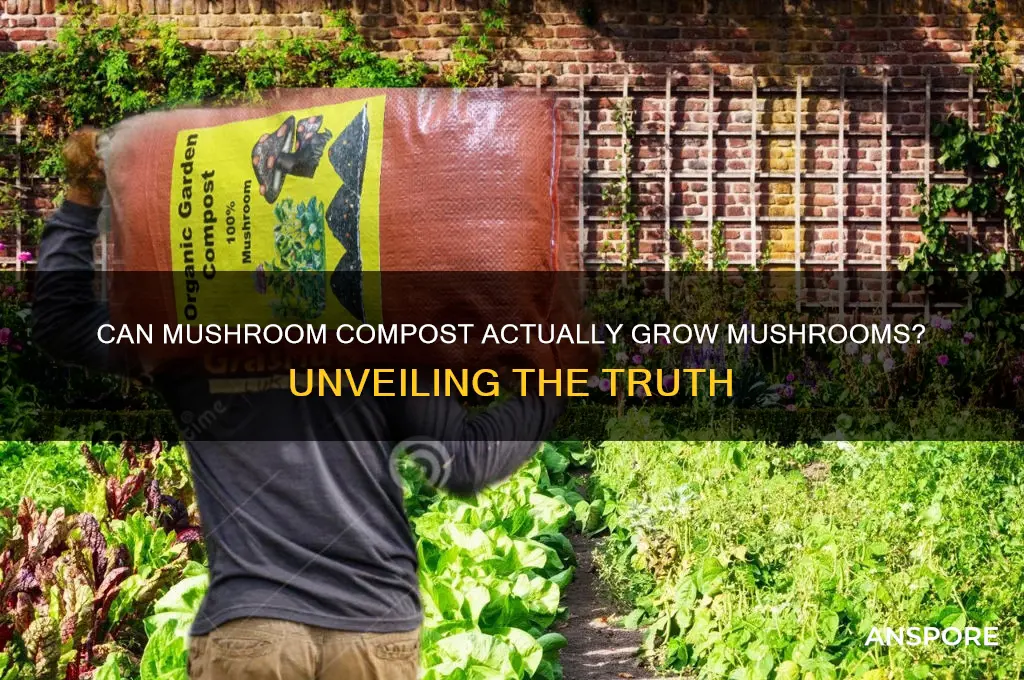 will mushroom compost grow mushrooms