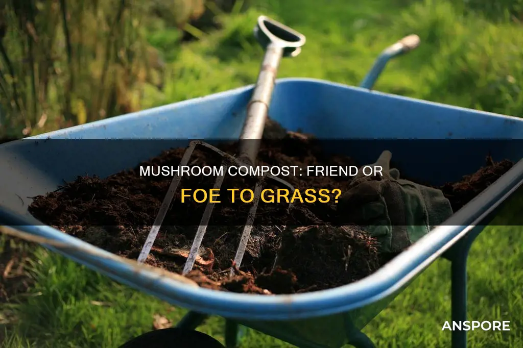 will mushroom compost kill grass