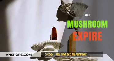 Mushroom Lifespan: Do Mushrooms Ever Expire?
