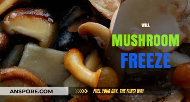 Freezing Mushrooms: What You Need to Know