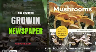 Growing Mushrooms: Newspaper Method