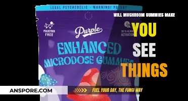 Do Mushroom Gummies Cause Hallucinations? Separating Fact from Fiction