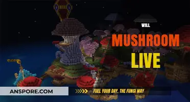 Mushroom's Life: The Science Behind Their Survival