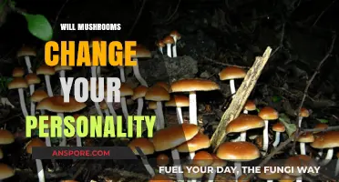 Mushrooms: Altering Your Personality, For Better or Worse?