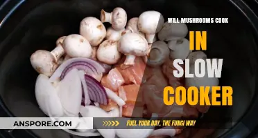 Slow Cooker Mushroom Magic: Tips for Perfectly Cooked Fungi