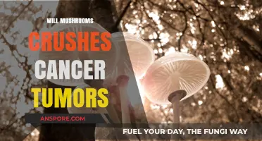 Mushrooms: Cancer Tumor Crushers?
