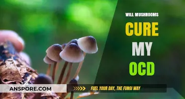 Mushrooms: OCD's Natural Remedy?