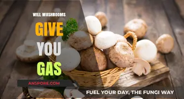Mushroom Consumption: Gas and Bloating