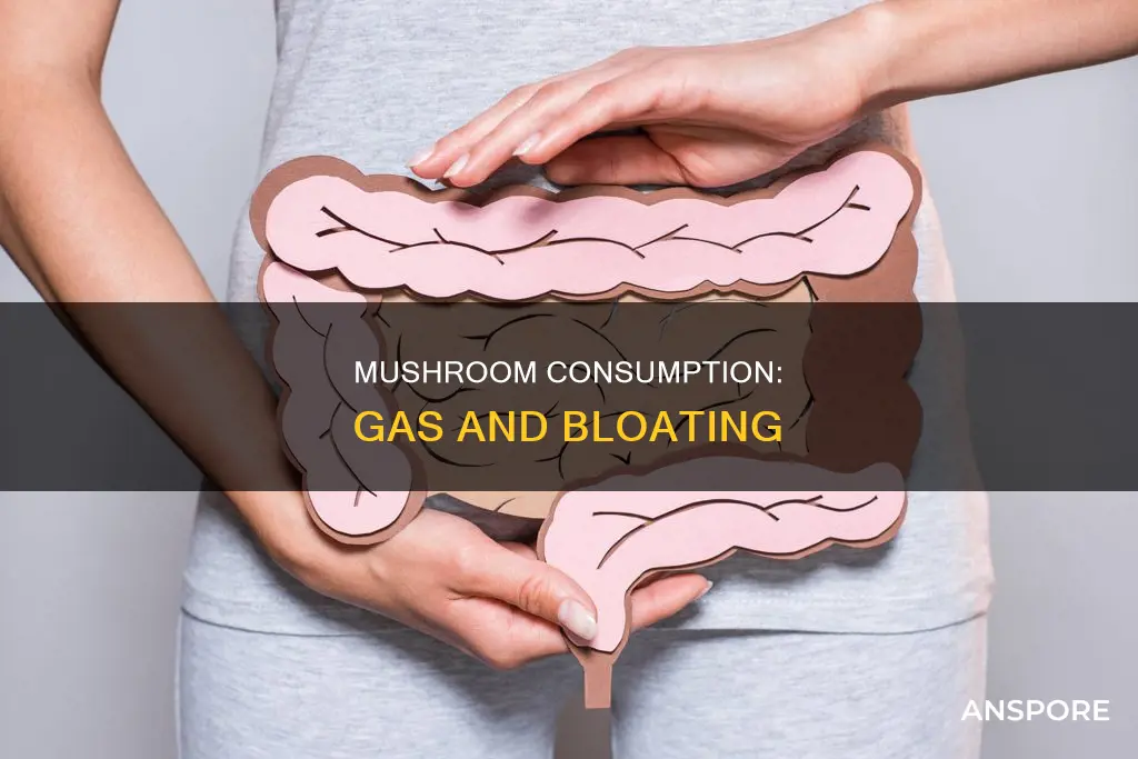 will mushrooms give you gas