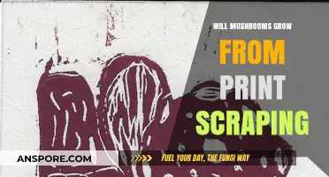 Can Print Scraping Spawn Mushrooms? Unveiling the Fungal Growth Myth