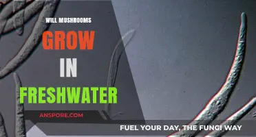 Can Mushrooms Thrive in Freshwater Environments? Exploring Growth Possibilities