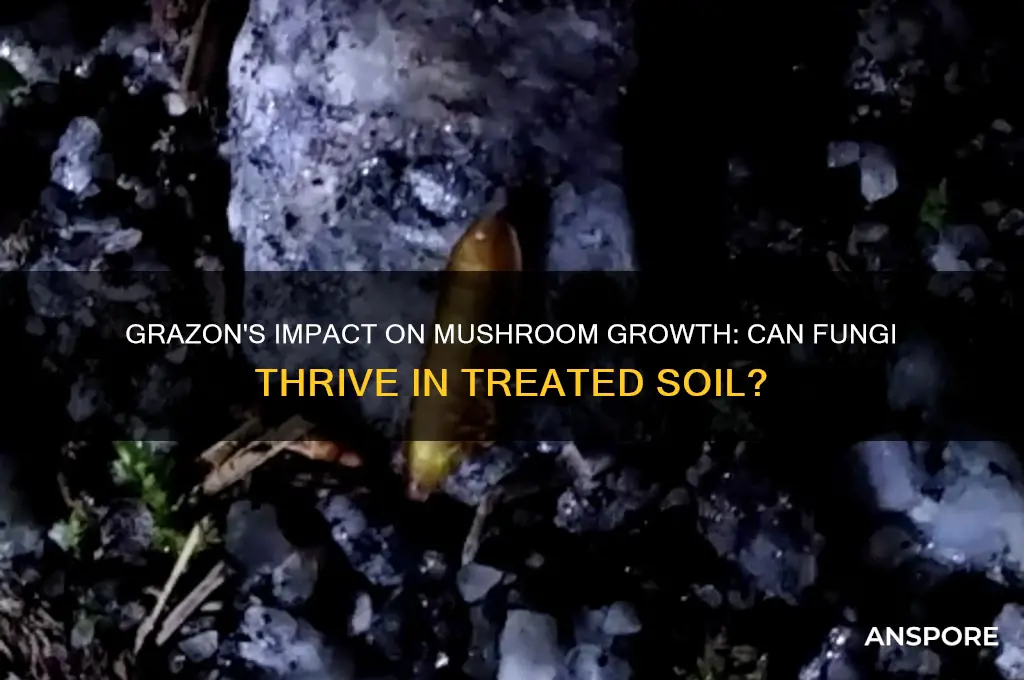 will mushrooms grow in grazon