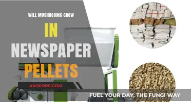 Can Mushrooms Thrive in Newspaper Pellets? A Growing Experiment