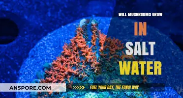 Can Mushrooms Thrive in Saltwater? Exploring Fungal Growth in Briny Conditions