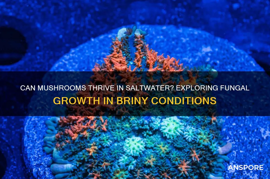 will mushrooms grow in salt water