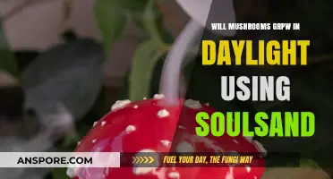 Can Mushrooms Thrive in Daylight on Soul Sand? Exploring Growth Conditions