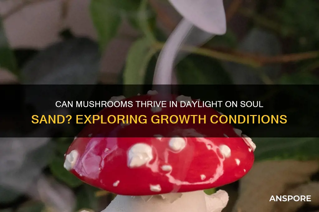 will mushrooms grpw in daylight using soulsand