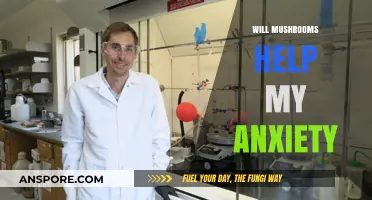 Mushrooms: Natural Anxiety Relief?