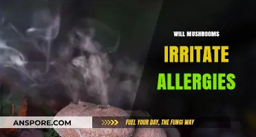 Mushrooms and Allergies: What's the Connection?
