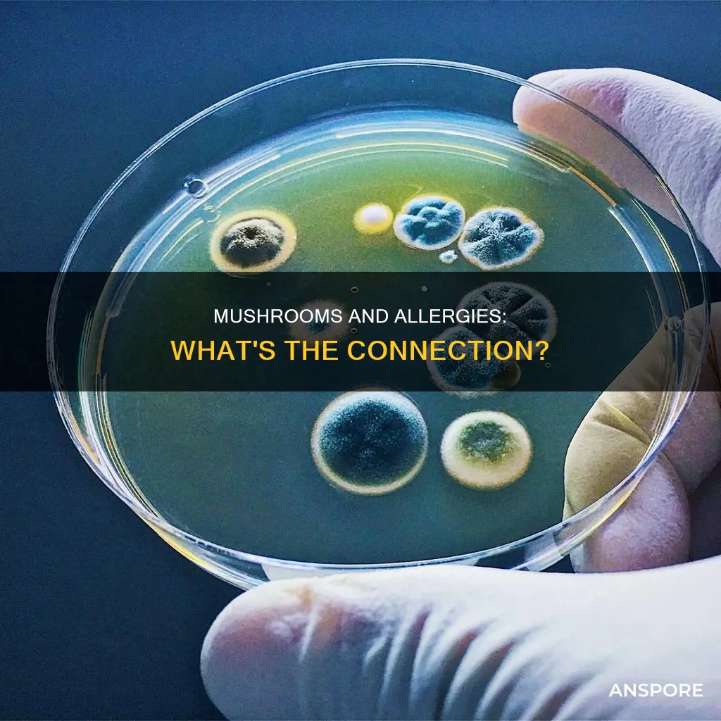 will mushrooms irritate allergies