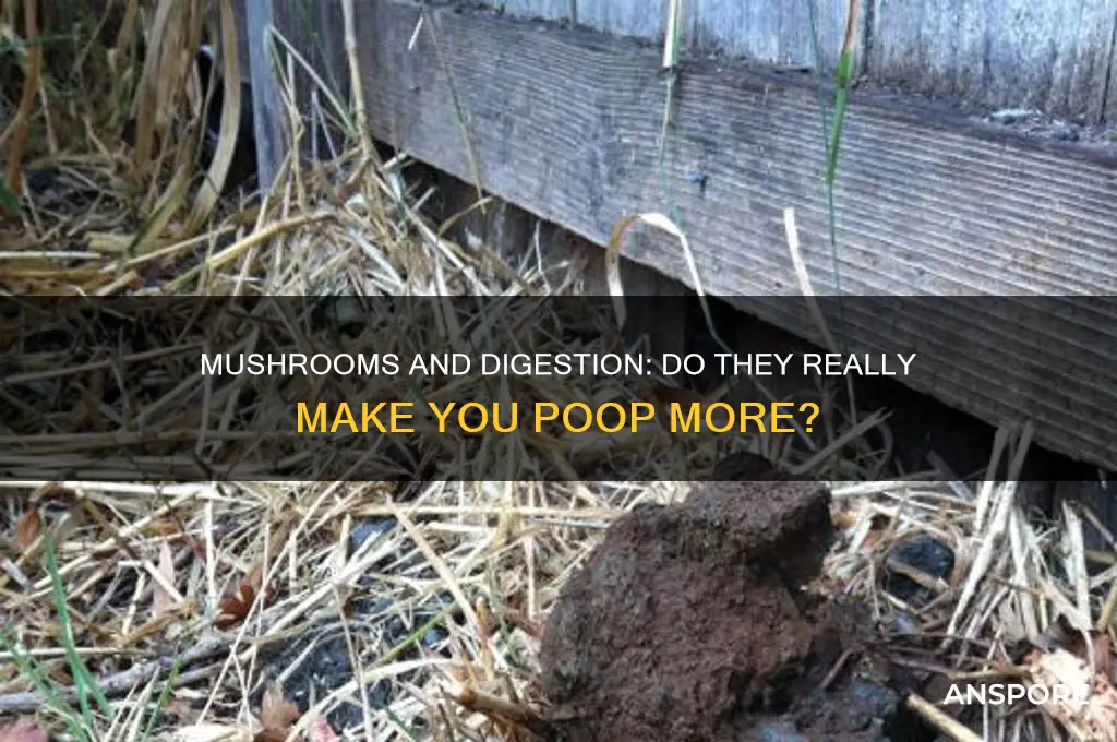will mushrooms make me poop