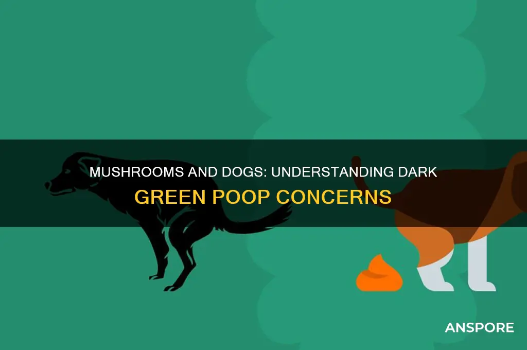 will mushrooms make my dogs poop dark green