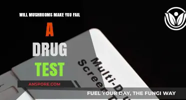 Mushrooms and Drug Tests: Will Psilocybin Cause a Positive Result?