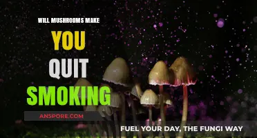 Can Mushrooms Help You Kick the Smoking Habit for Good?