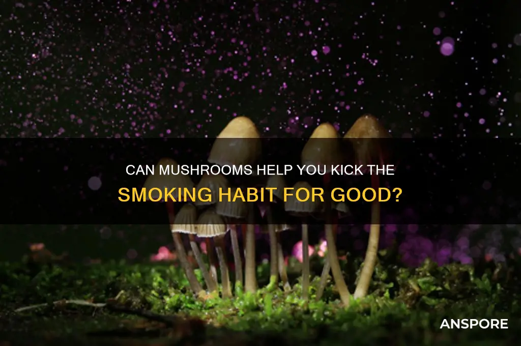 will mushrooms make you quit smoking