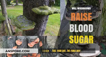 Mushrooms and Blood Sugar: What's the Connection?