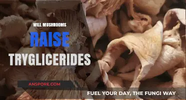 Mushrooms and Triglycerides: A Healthy Balance?