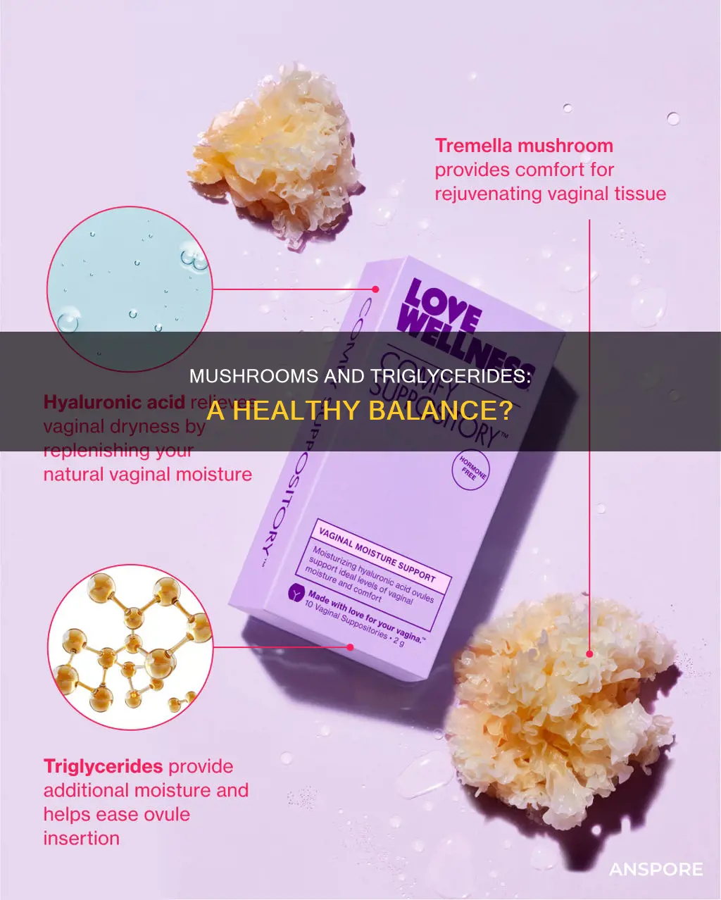 will mushrooms raise tryglicerides