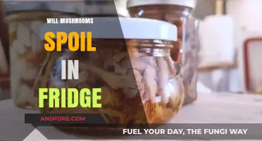 Mushroom Storage: Fridge Friend or Foe?