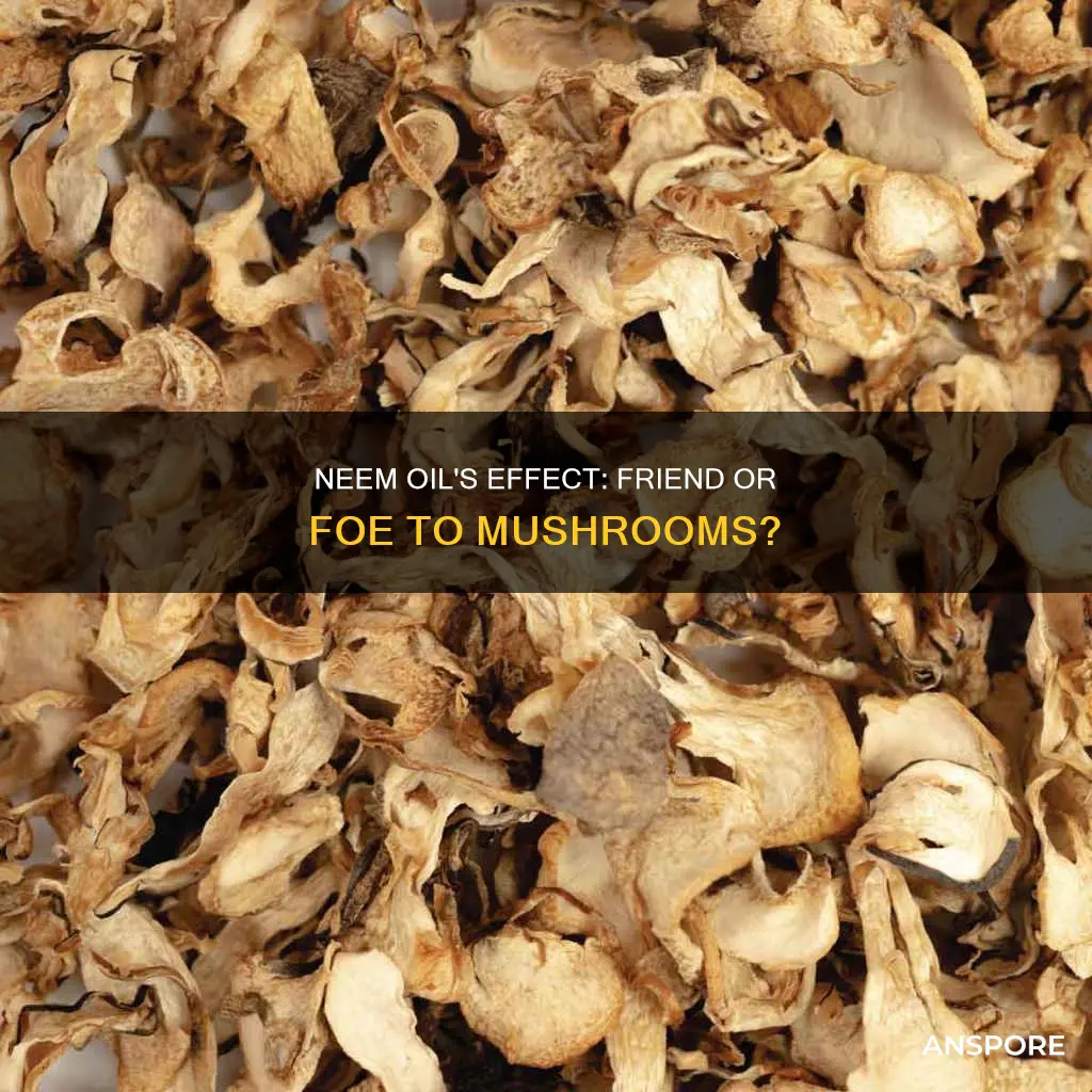 will neem oil kill mushrooms