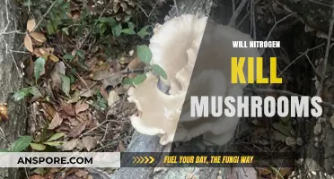 Nitrogen's Impact: Friend or Foe to Mushrooms?