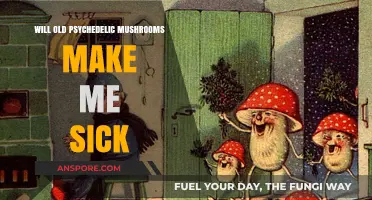 Old Psychedelic Mushrooms: Risks, Side Effects, and Potential Illness Explained