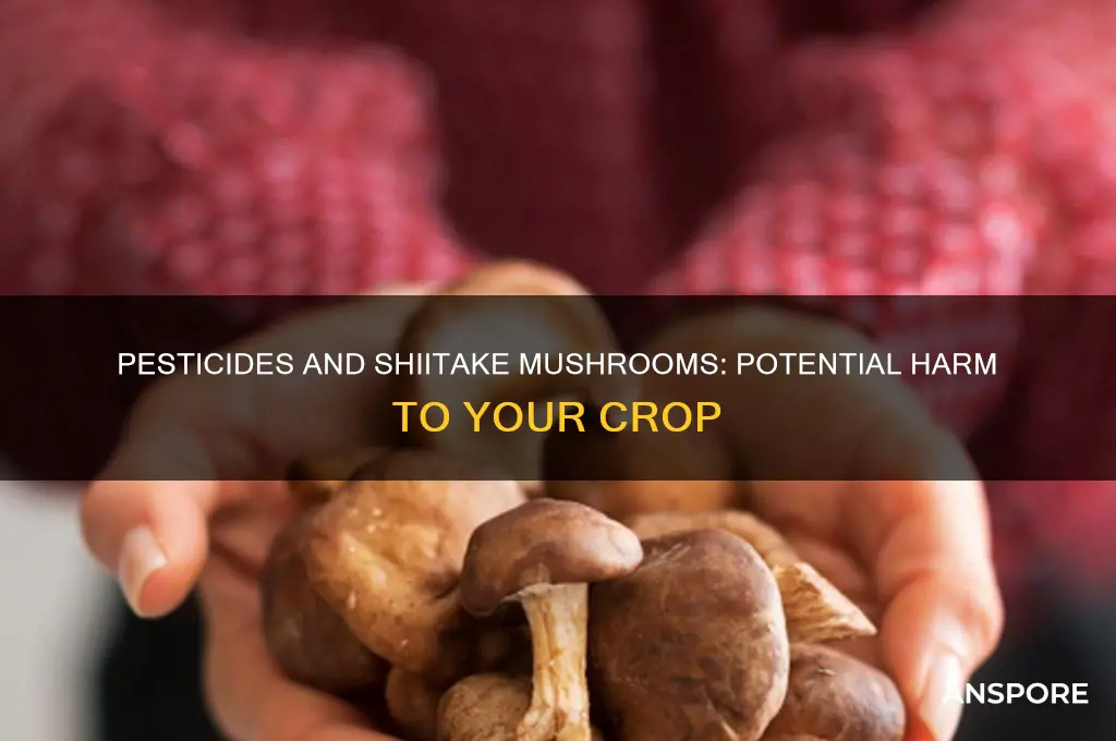 will pesticides harm the shiitake mushrooms i am growing
